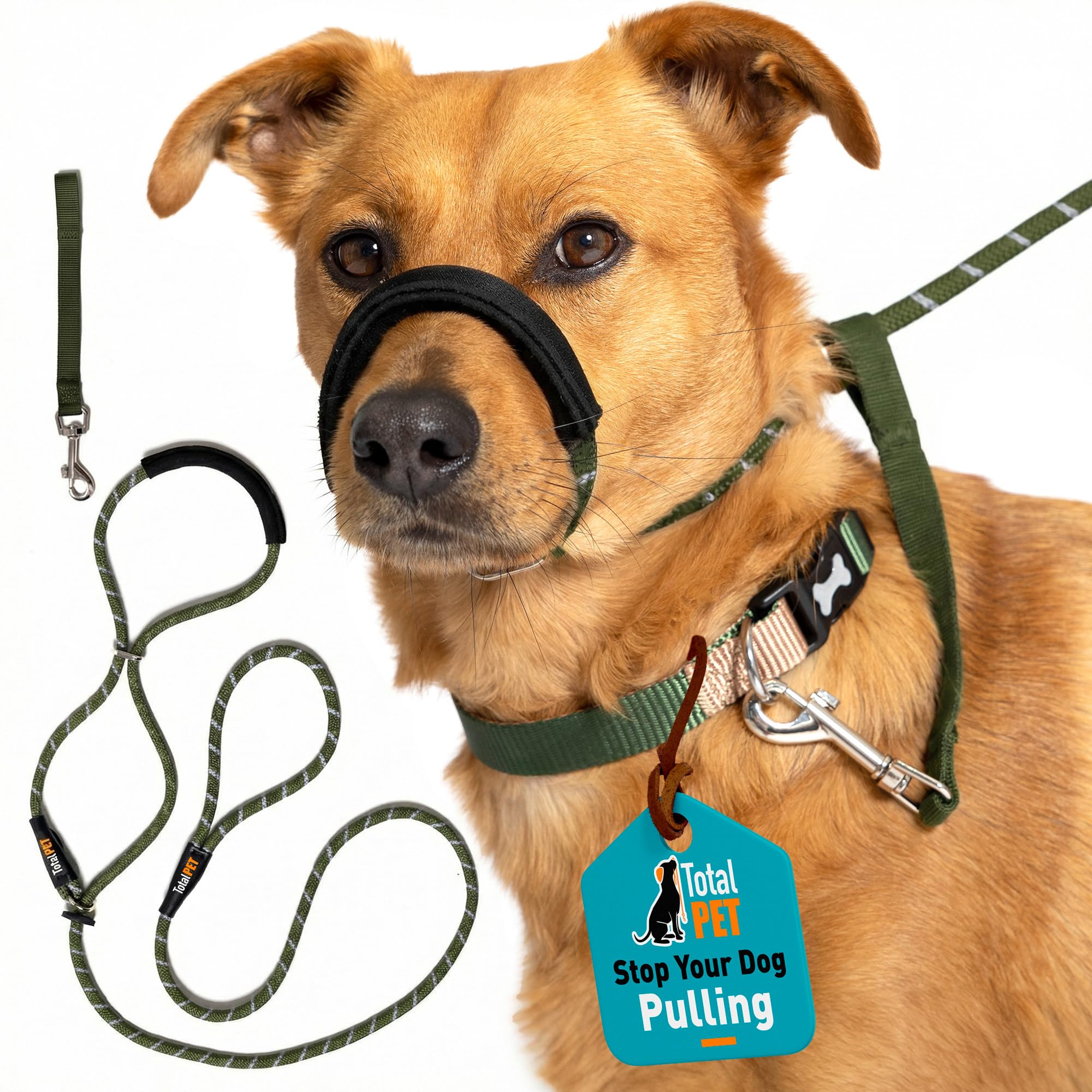 Green Total Pet Figure of 8 Dog Lead - Anti Pull Stop Dogs Pulling - Rope Slip Leads with Padded Nose Support (Small/Medium)