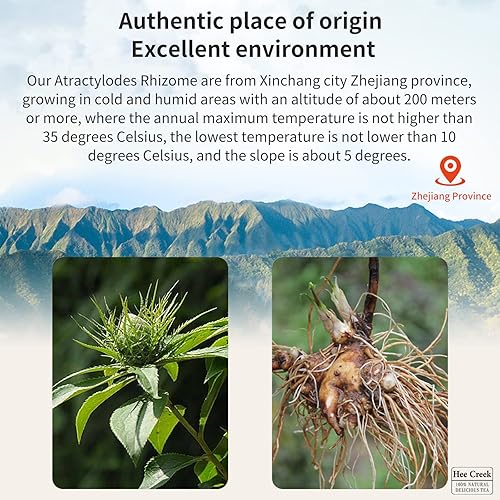 Miniatura 2 de Hee Creek Atractylodes Bai Zhu10.58/10.58 oz Rebanadas de corte premium Bai Zhu Atractylodes Té de rizoma Atractylodis Macrocepgalae Hierbas secas