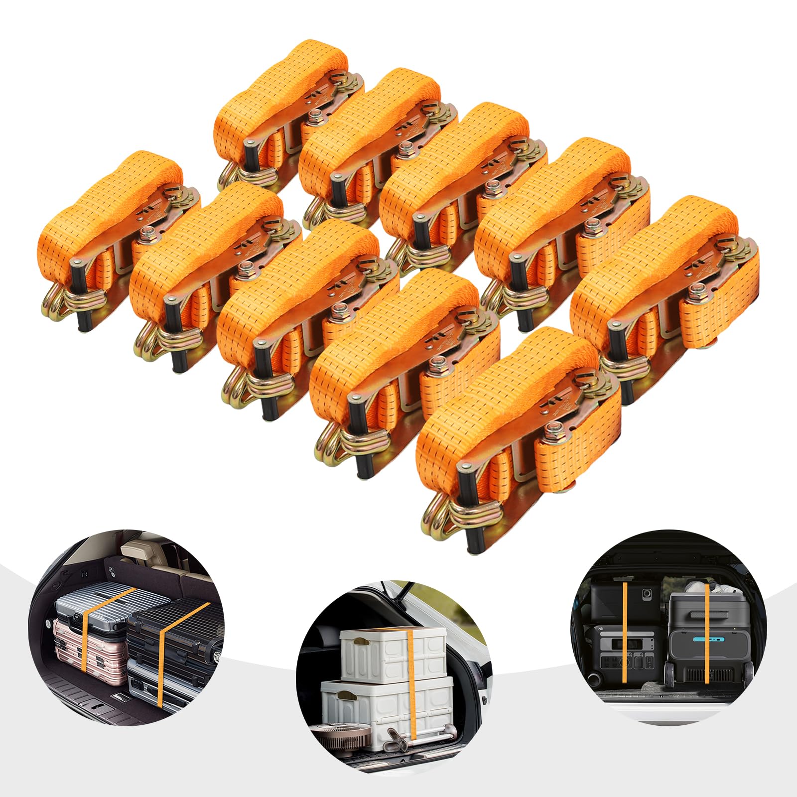 Sangles d'arrimage avec cliquet - 10 m - 5 t - Sangles d'arrimage avec