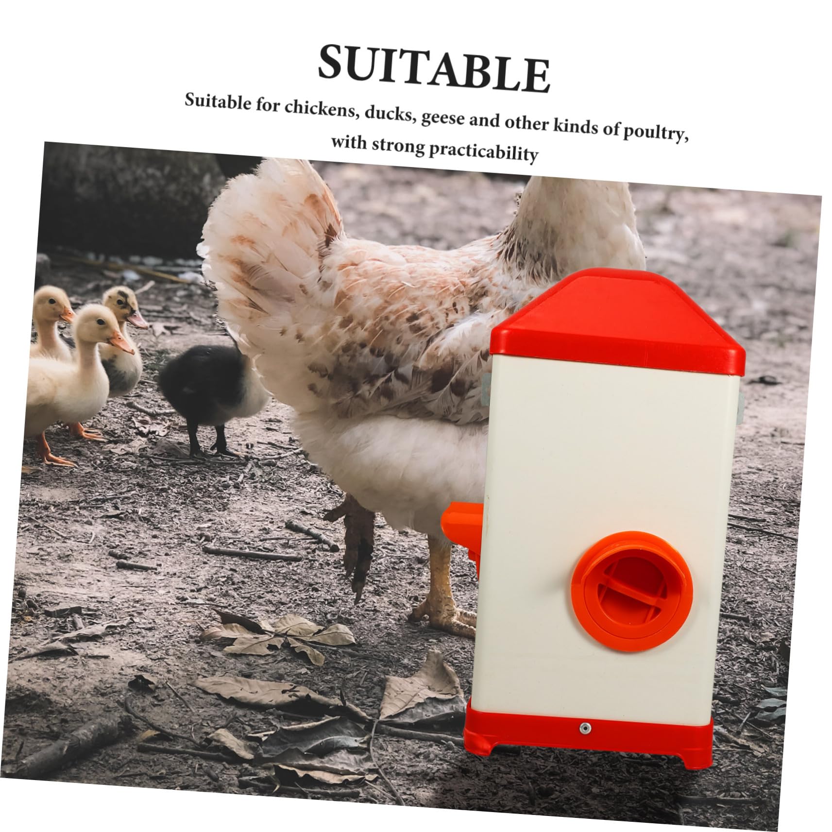 BESTonZON Mangeoire Poule Réutilisable Résistante Soleil et Aux Chocs Distributeur Alimentaire Pratique pour Volailles