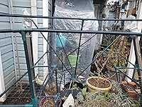 Review Image by Tammy Chance Tammy Chance