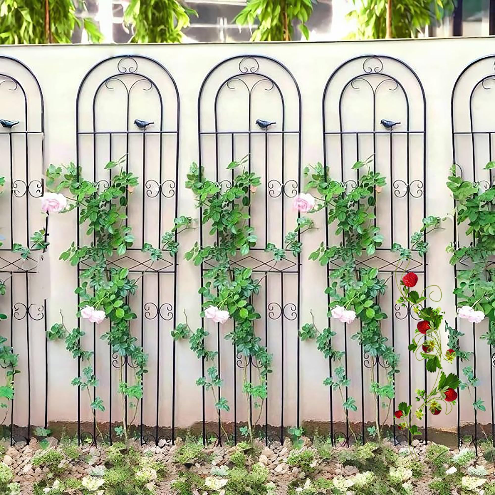 Amazon | つる植物用ガーデントレリス、金属製ガーデンアーチトレリス
