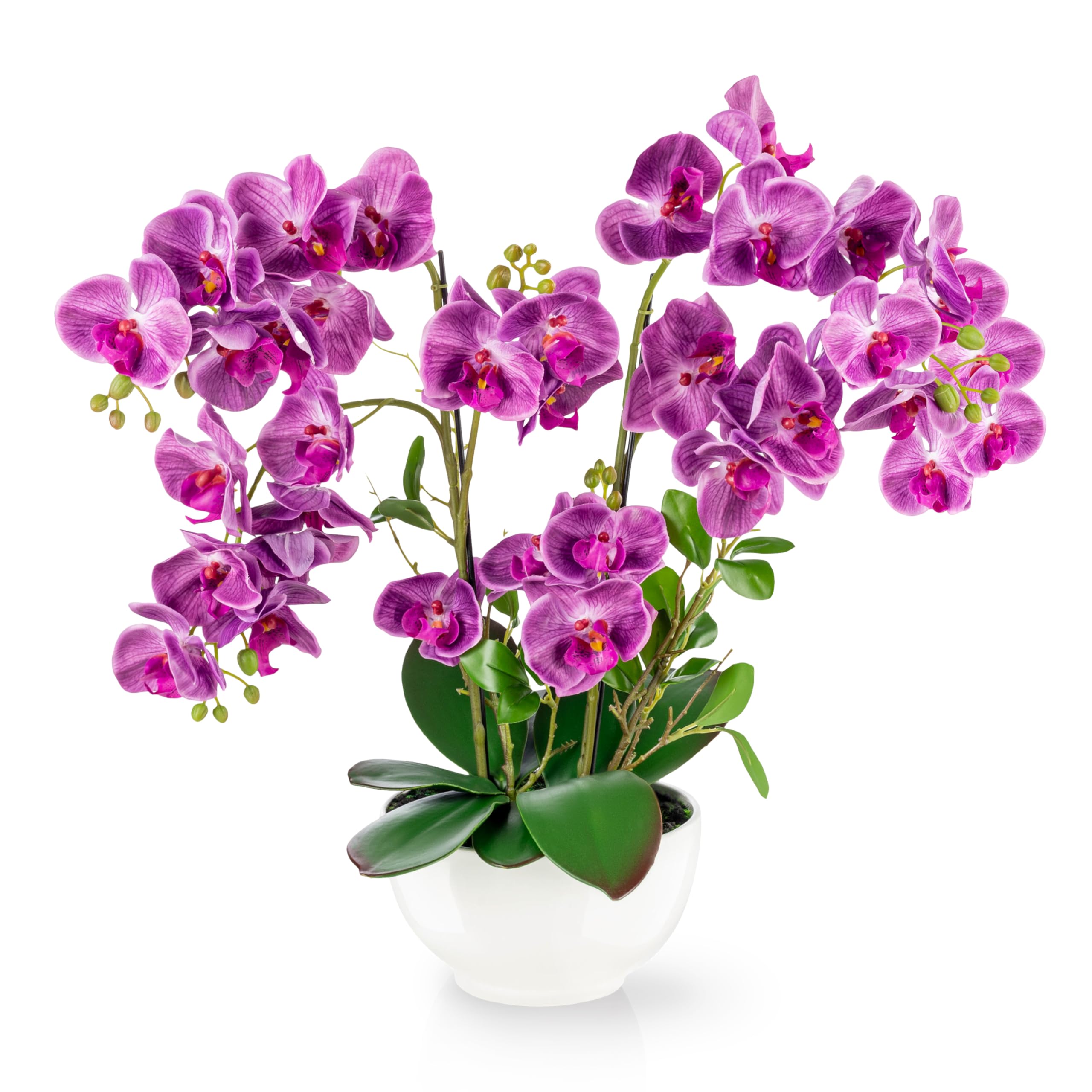 PASCH® XXL Kunstblume Orchidee Groß (56cm) in Hochglanz-Keramiktopf | Künstliche Orchideen im Topf | Kunstblumen Wie Echt (Lila)