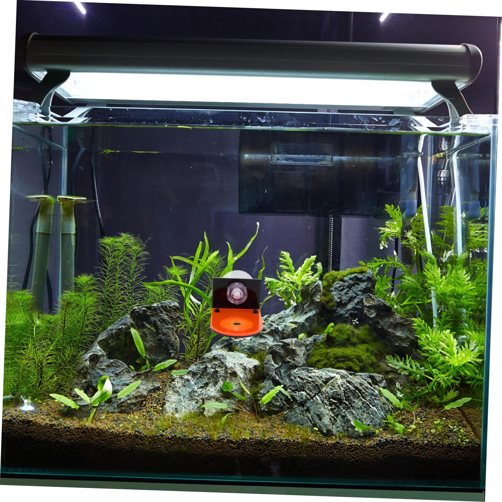 BESPORTBLE 8stücke Aquarium Korallenhalterungen Fluoreszierende Racks Für Zucht Wachstum Von Korallen Geeignet Für Süß Und Salzwasseraquarien Stabil Und Langlebig