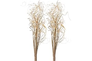 Royal Imports Gold Tree Picks