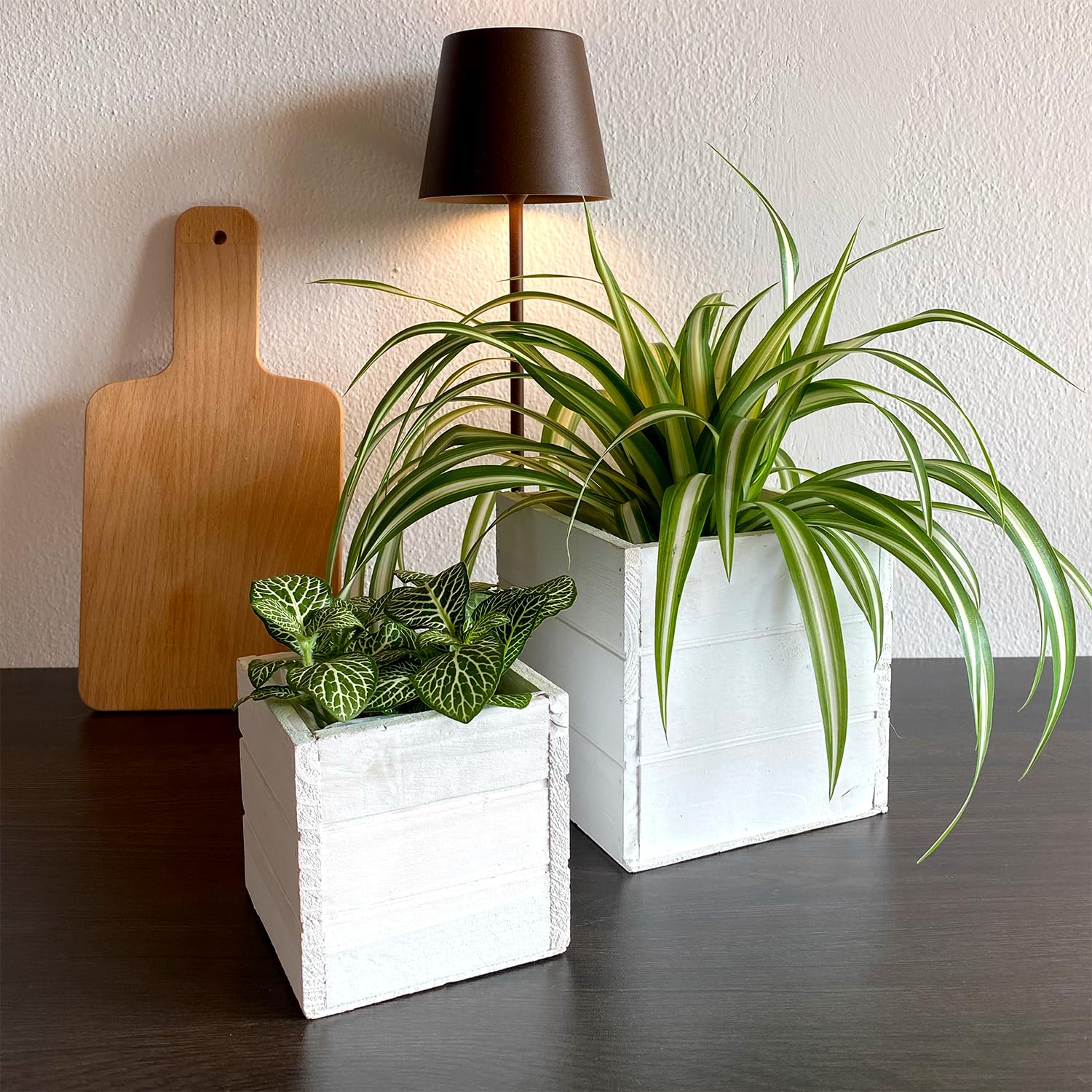 Cajas de madera blanca para flores, plantas, bonsái, hierbas aromáticas, decoración del hogar, jardín, balcón, terraza (14 x 14 + 10 x 10)
