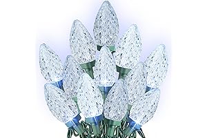 C9 Christmas Lights Outdoor: Dazzle Bright 100 LED 66FT Fairy Lights