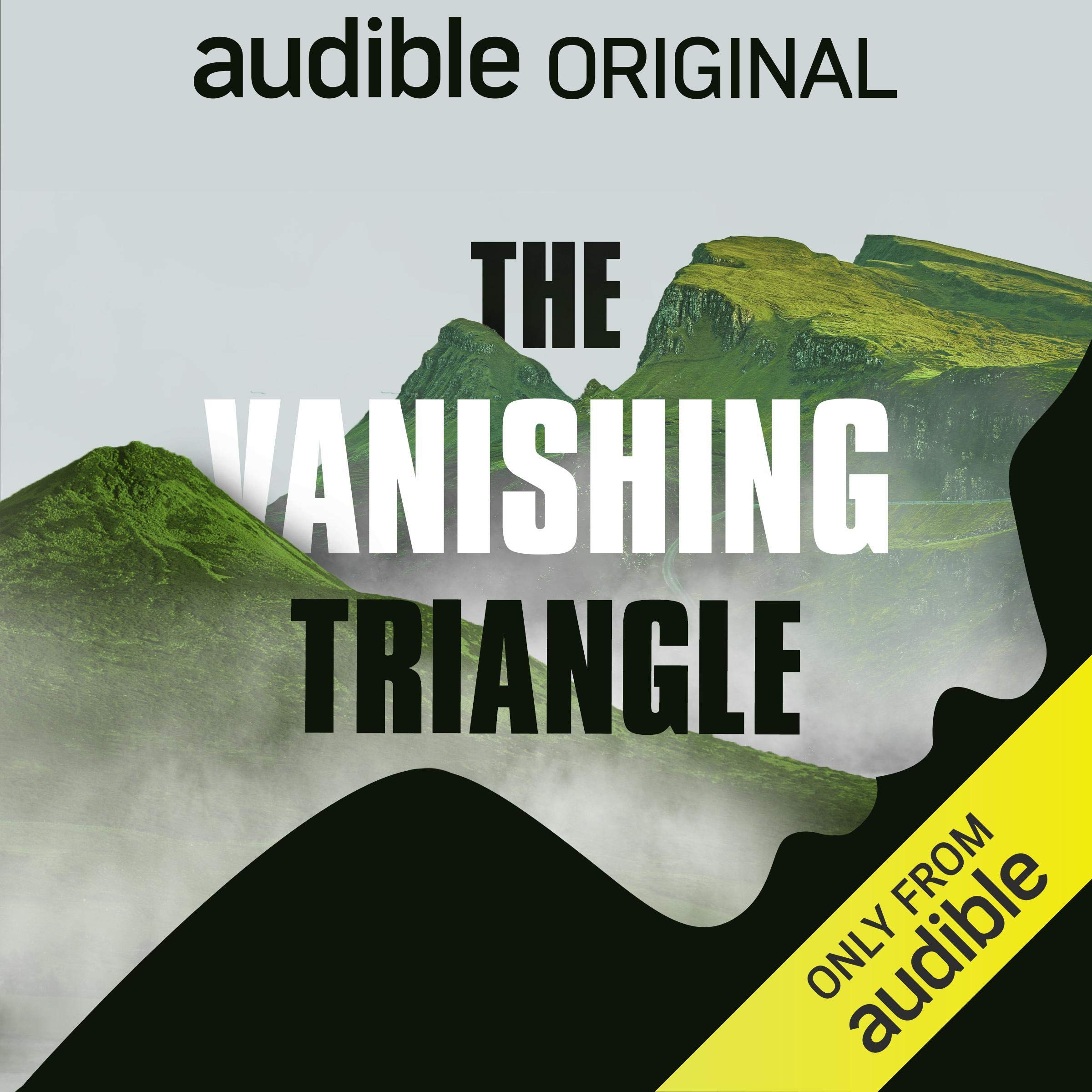 Cover art for The Vanishing Triangle