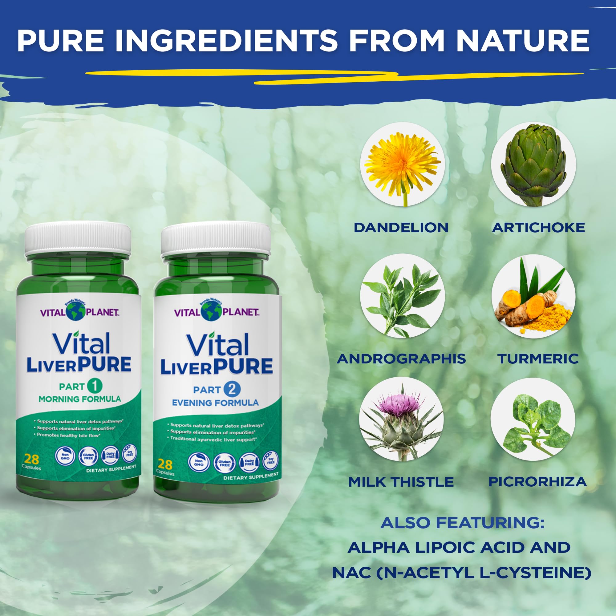 Vital Planet – Vital Liver Pure Liver Cleanse Detox & Repair with Milk Thistle, NAC Supplement N-Acetyl Cysteine, Andrographis, Dandelion, Turmeric, Alpha Lipoic Acid, 2-Part 14-Day Kit, 56 Capsules — Amazon image 3