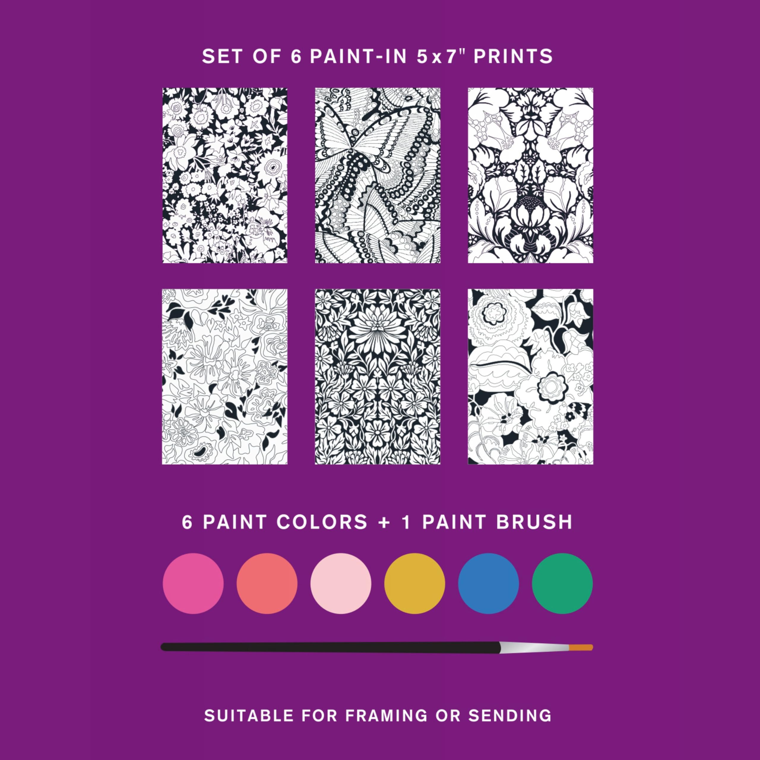 Amazon.com: Galison Liberty – Paint in Notecard Set Featuring