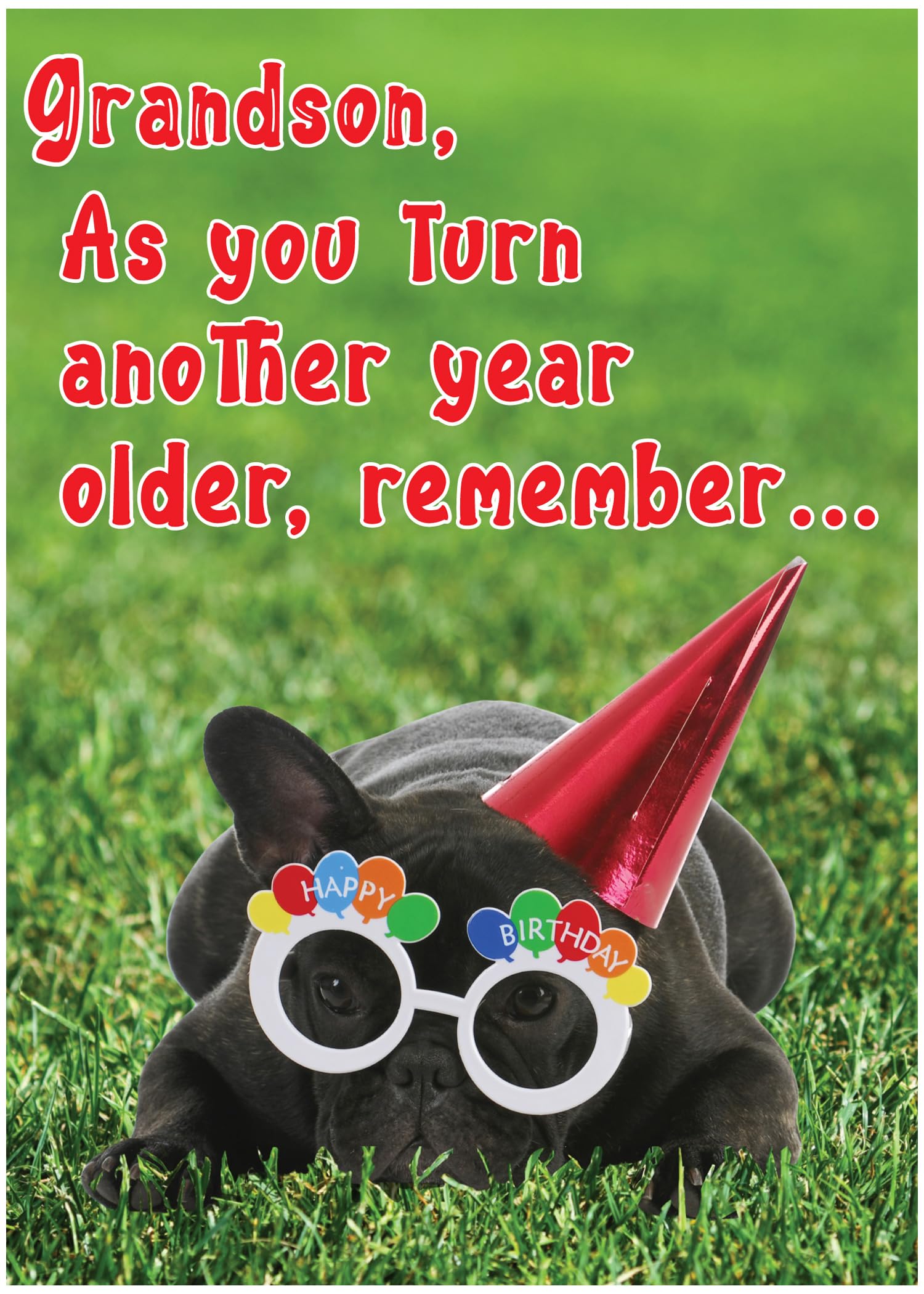 Funny Birthday Card for Grandson – “Anything’s Paws-ible” French Bulldog Dog Lover Card from Grandparents