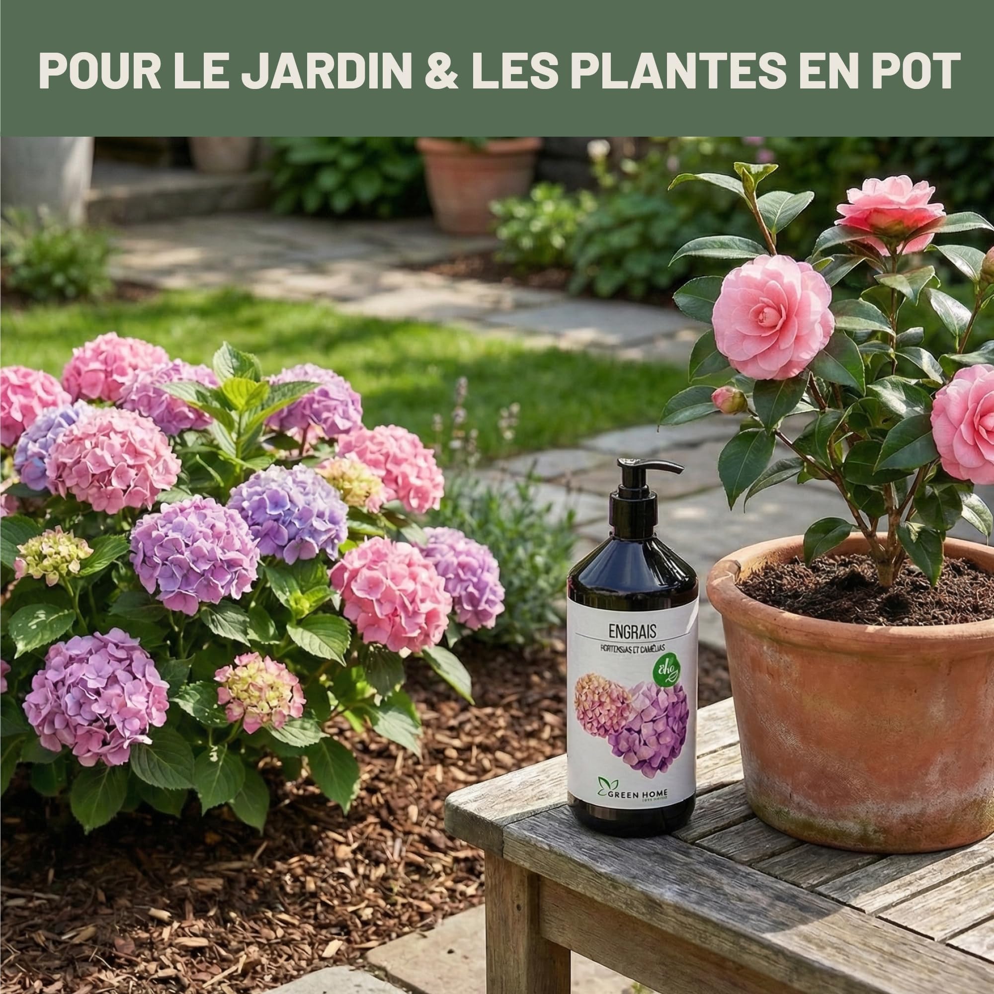 Green Home Engrais Hortensia & Camélia Liquide 1 L avec Pompe Doseuse NPK 5-5-7 – Engrais Hortensia Liquide pour Hortensias, Camélias et Rhododendrons
