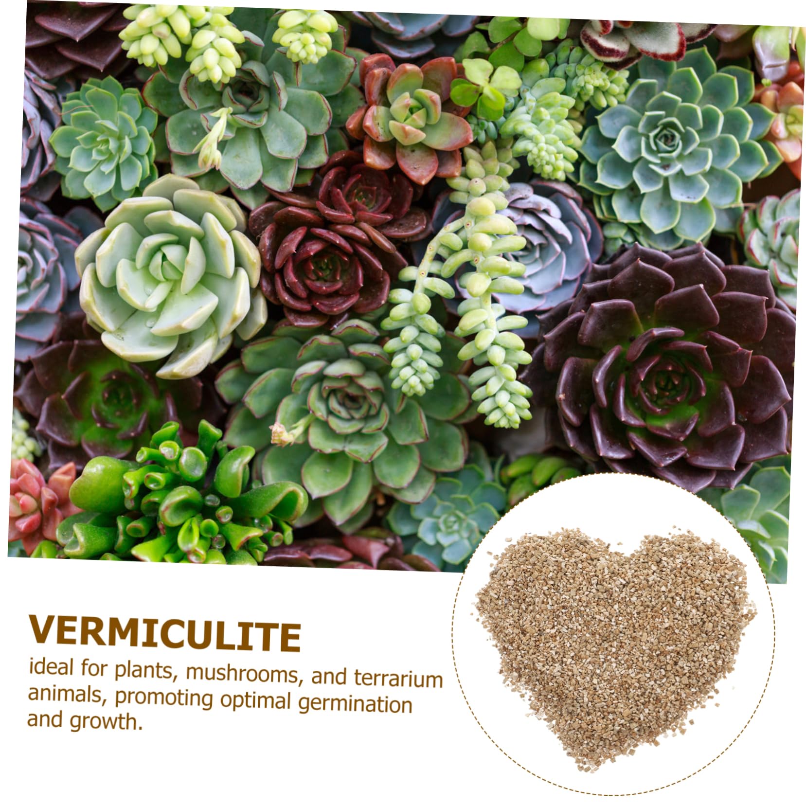 Abaodam Vermiculita para Jardinería pH Equilibrado, Capacidad 3L, Alta Retención de Agua y Uso Versátil para Cultivo de Hongos y Mascotas de Terrario en Interiores