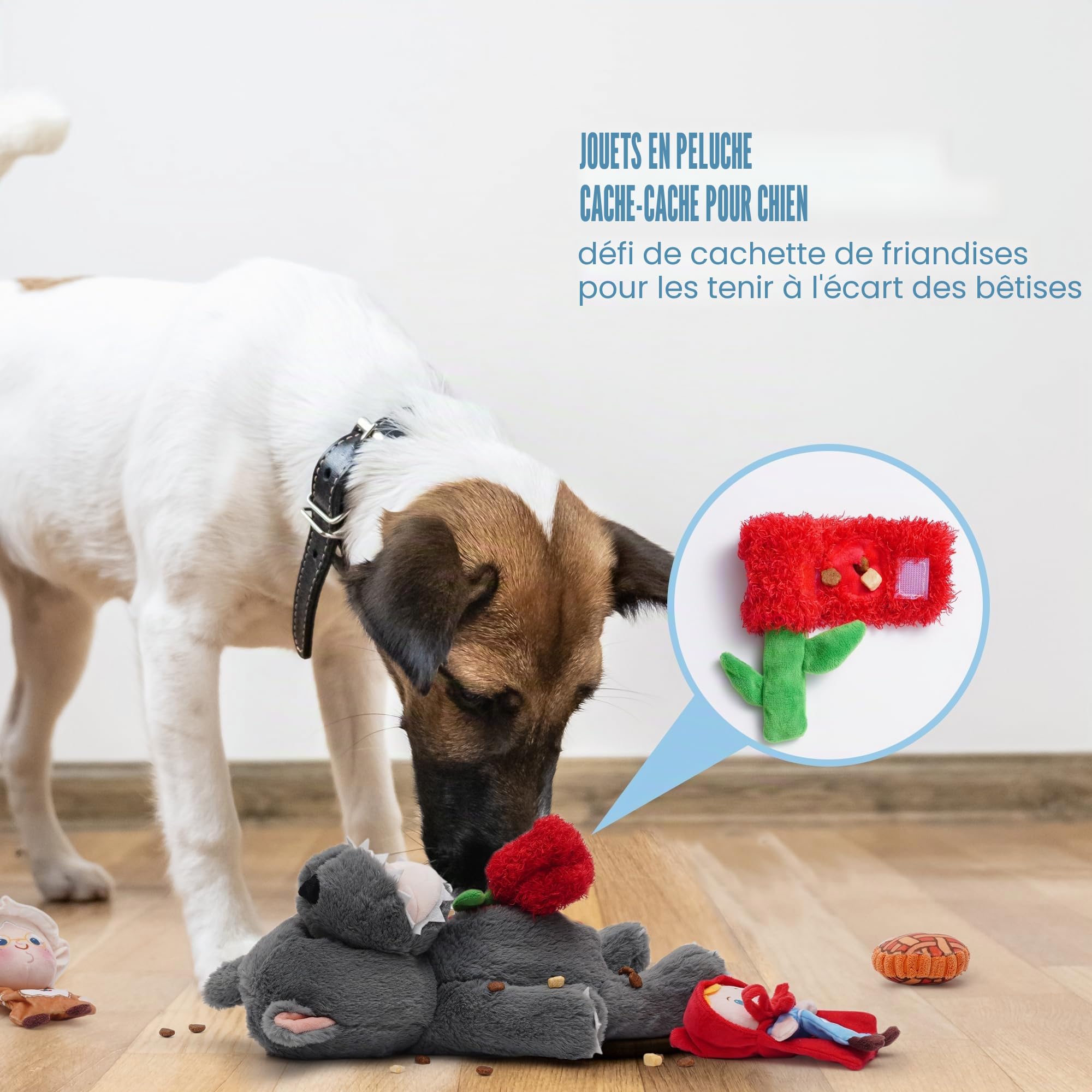 Nocciola 6 en 1 Jouet Chien Indestructible avec Couineur pour Chien | Jouet Chien Occupation pour jeu de cache-cache, Enrichissement, Anti Stress de Chiens, Parfait pour Multi-chiens