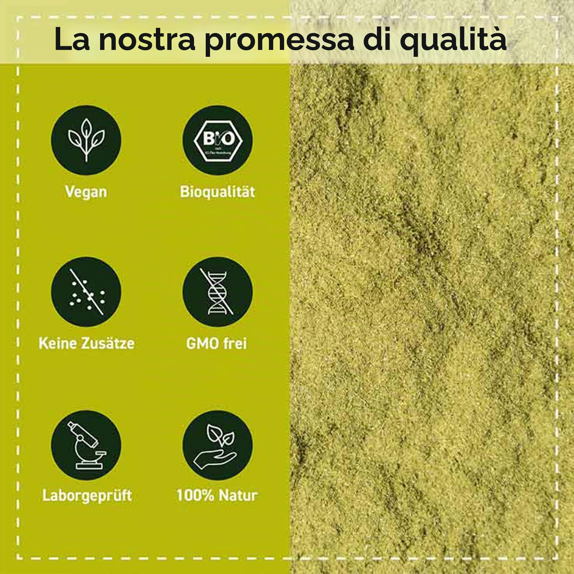 Brahmi in polvere Bio 500g | Bacopa monnieri | pianta della memoria | vegano | senza additivi | confezionato è controllato in Germania | Biotiva