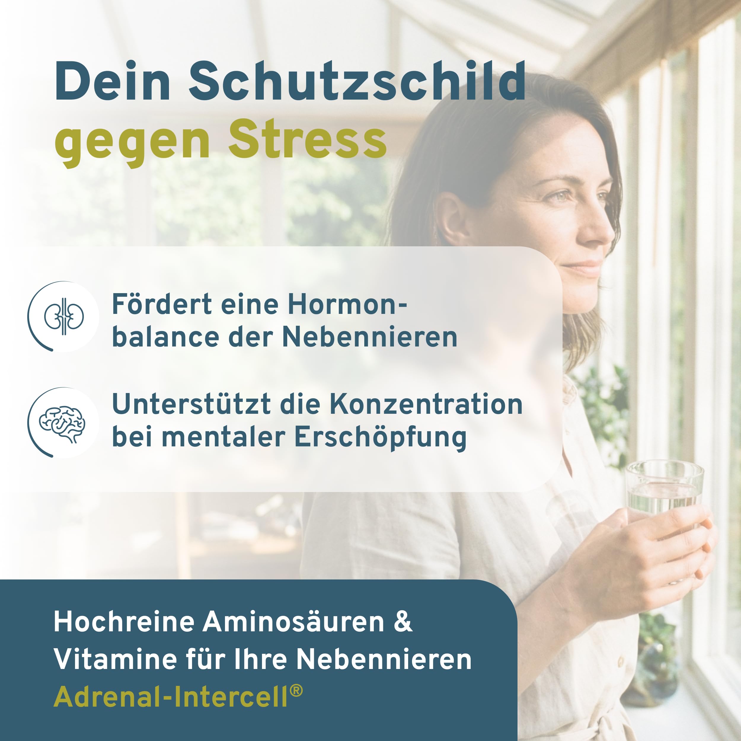 Adrenal Intercell (120 Kapseln) - Aktivstoff für die Nebennieren - mit L-Tyrosin (Aminosäure), Vitamin C, Pantothensäure, Rhodiola, Magnesium, Zink, Vitamin B1, B2, B3, B6, B12 & Folsäure