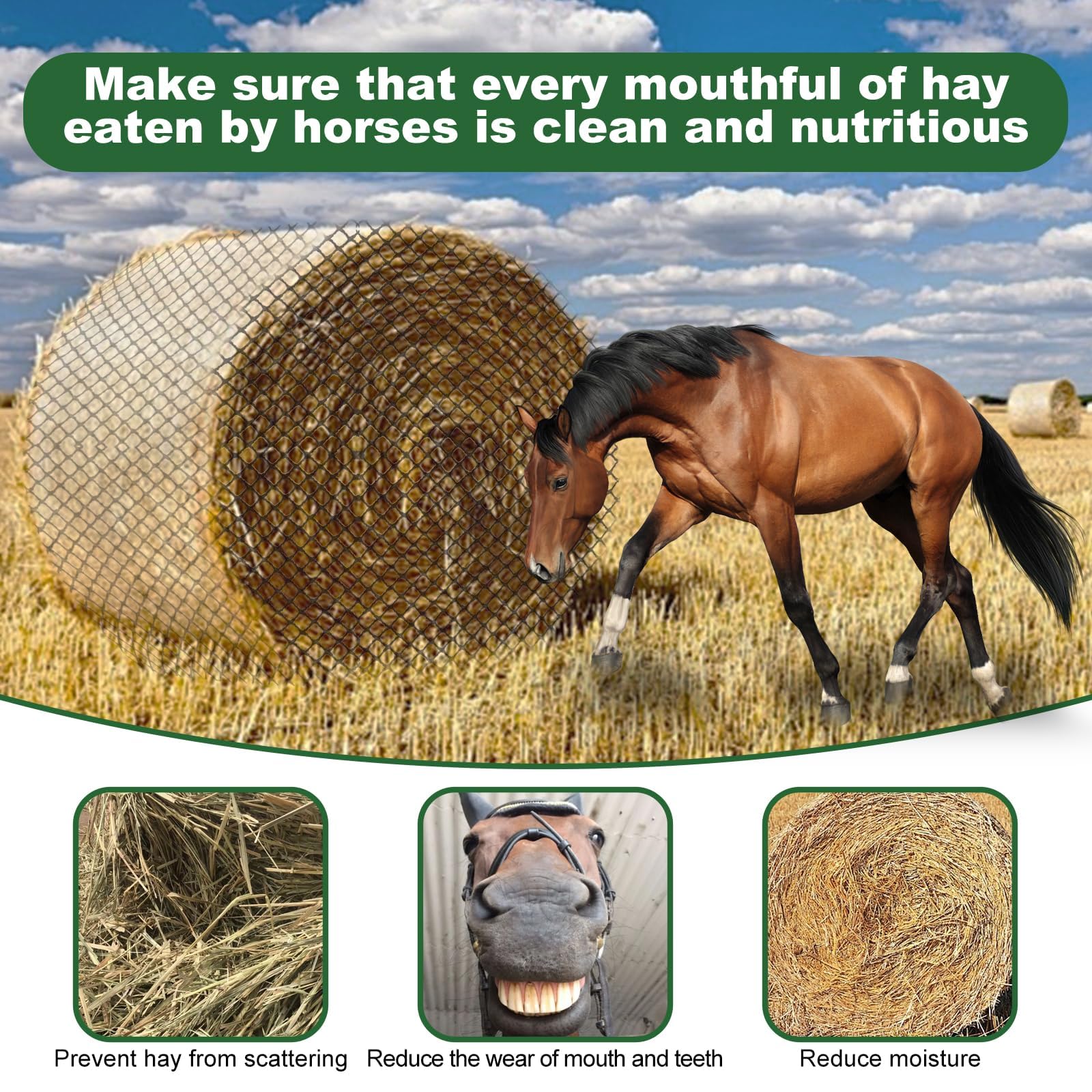 Red de heno de alimentación lenta para caballos, comedero redondo duradero sin nudos con agujeros de 2 pulgadas, red de heno resistente para caballos, ponis, burros, ganado