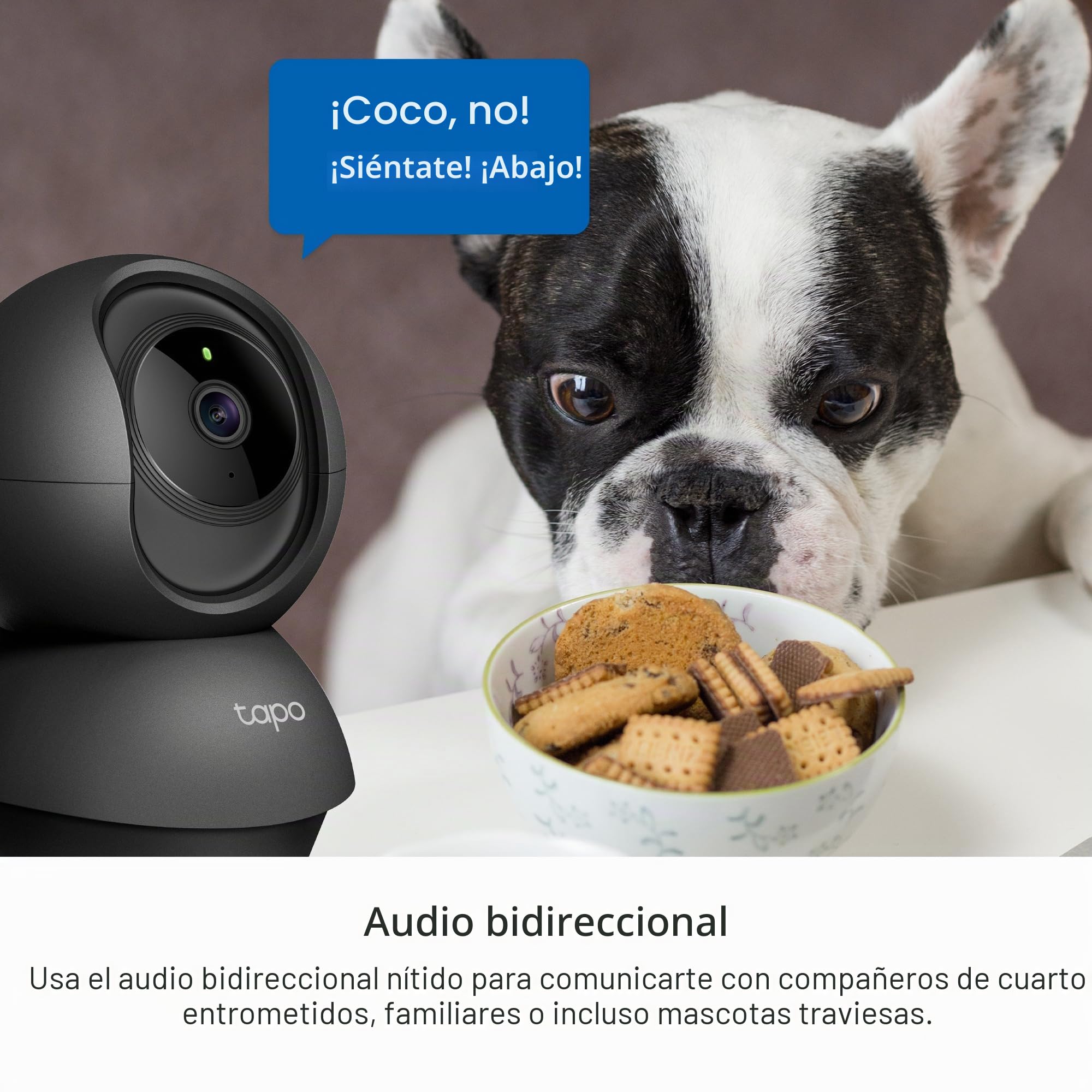 Tapo Cámara de Seguridad C211 2K 3 MP, panorámica e inclinable, WiFi, detección de IA, para Perros, bebé, visión Nocturna, Funciona con Alexa y Google