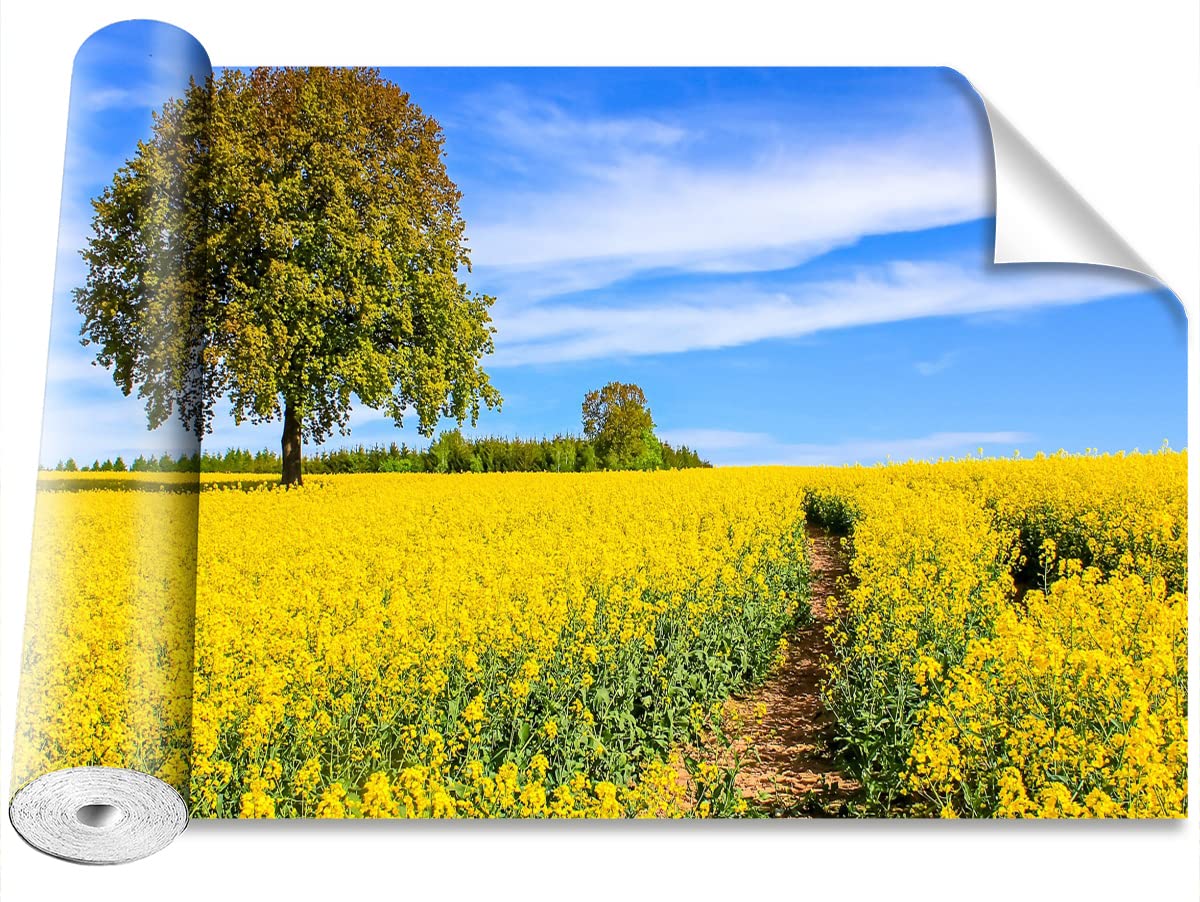Décoration murale fleurs jaunes Tulup papier peint moderne 250x104cm
