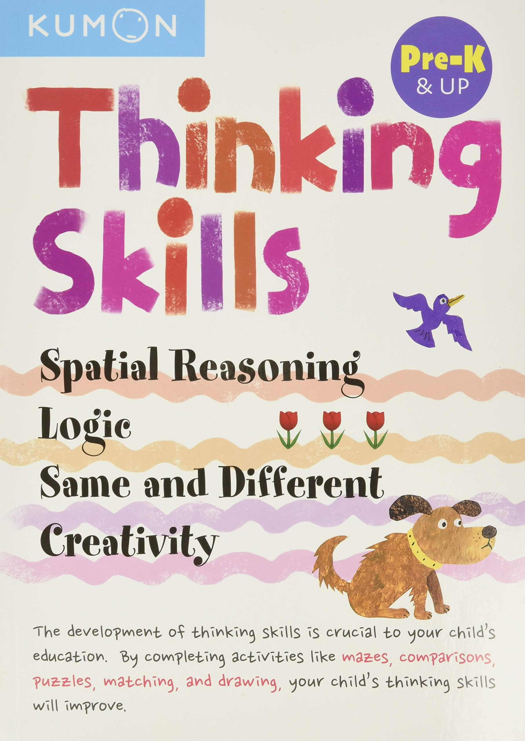 Pre K Thinking Skills Bind Up: Spatial Reasoning, Logic, Same and Different, Creativity