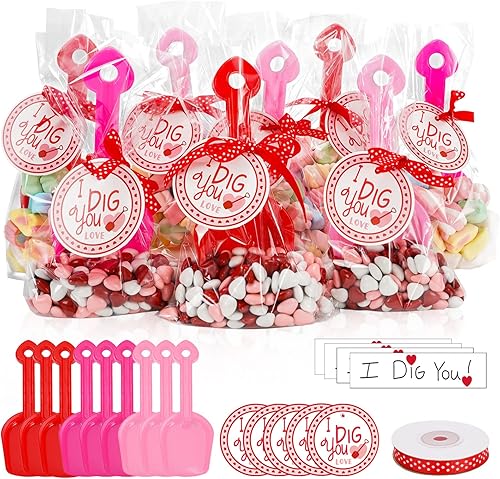 Whaline Juego de palas de juguete para el día de San Valentín, 24 paquetes de palas de plástico con calcomanía I Dig You, bolsas de celofán