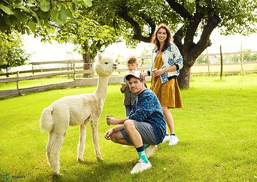 Miniatura 3 de TODO Calcetines divertidos para hombres y mujeres - Calcetines de vestir con diseños novedosos para hombres, divertidos, regalo de Navidad,