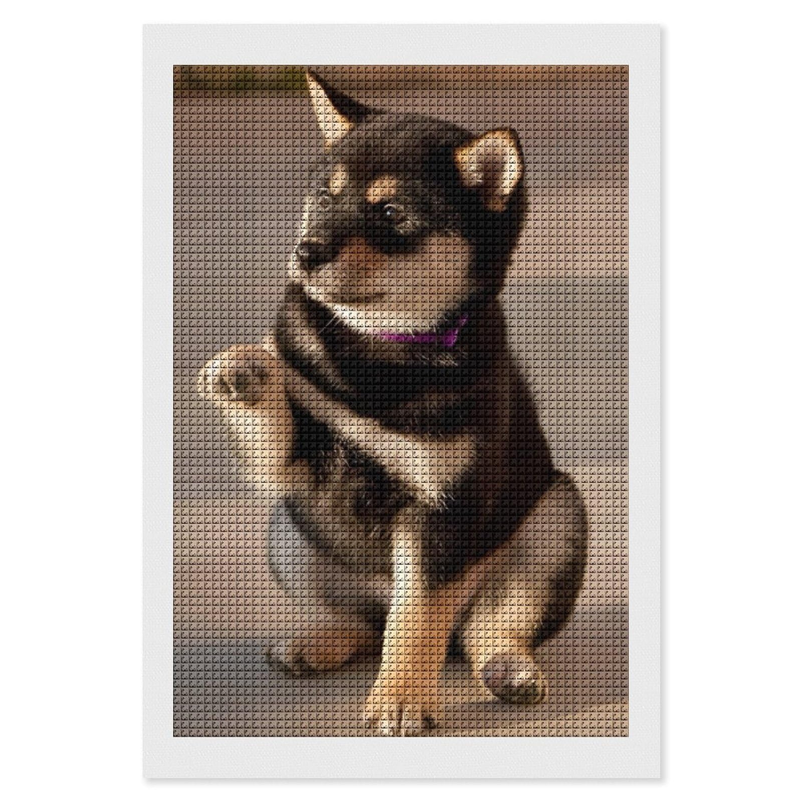 柴犬 犬 猫 可愛 小動物 ダイヤモンドアート ダイヤモンドペインティング 全面貼 ダイヤモンドアート スクエア DIY 手芸 刺しゅうキット ホームデコレーション（四角いビーズ）20×30cm