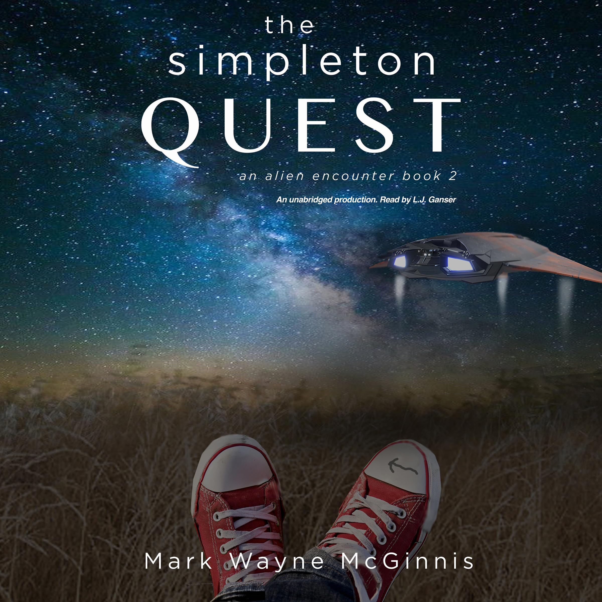 Cover art for The Simpleton Quest