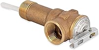 Vista 1 de Camco 10493 Válvula de alivio de temperatura y presión de 3/4" con sonda recubierta de epoxi de 4" - vástago extendido