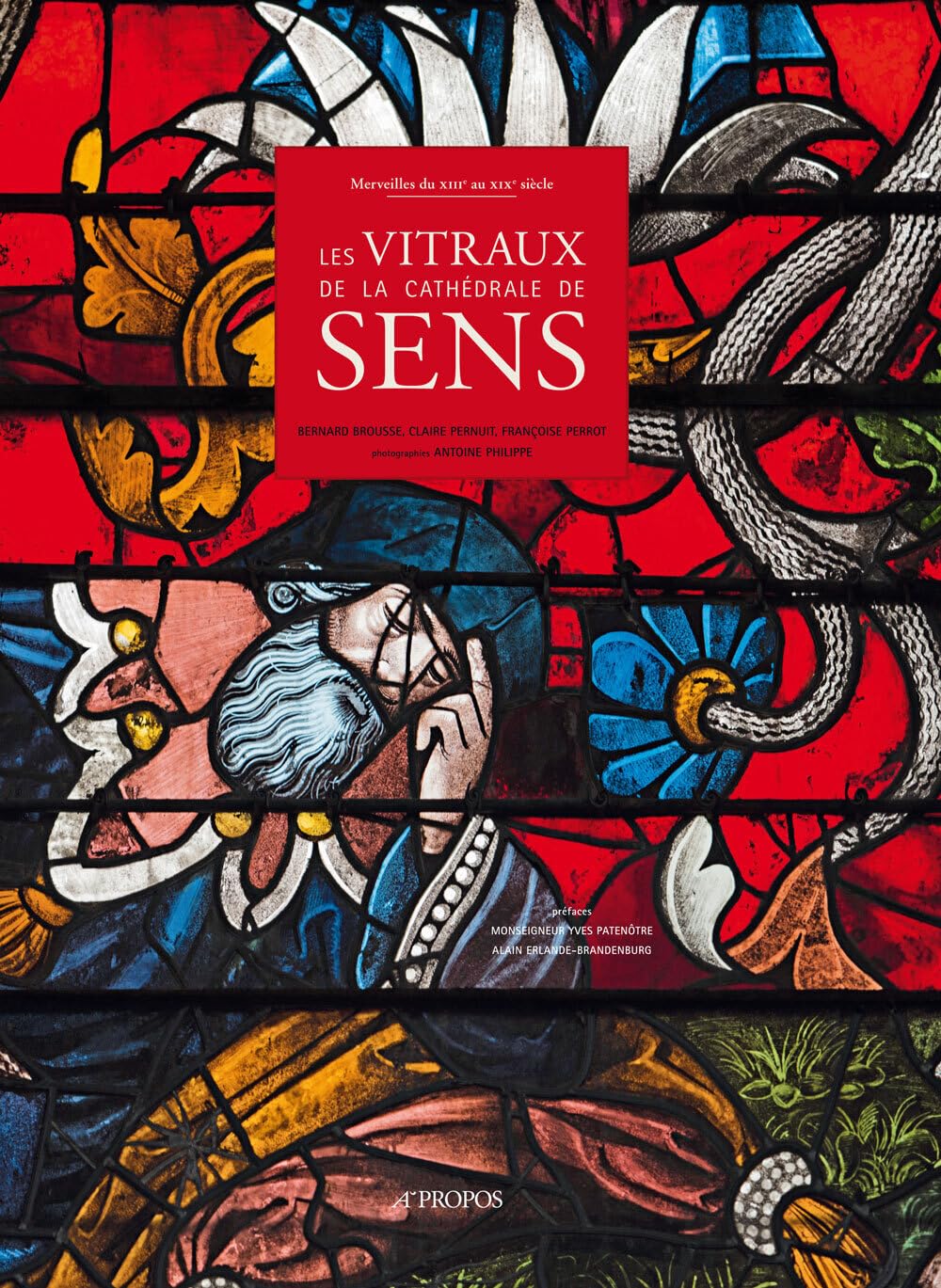 Livre Vitraux de la cathédrale de Sens du XIIIe au XIXe siècle, guide d'art historique régional