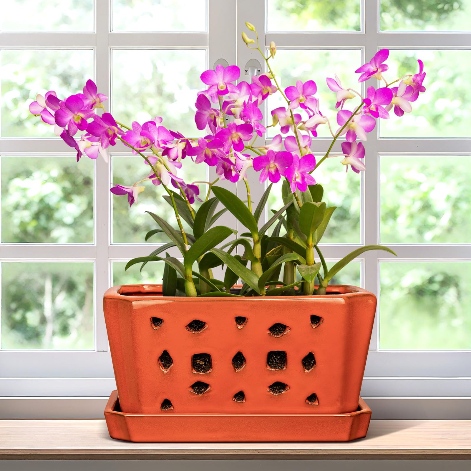 Amazon.com: Teenyyou 1 Set Orchid Pot with Holes 9.5 Inch Ceramic