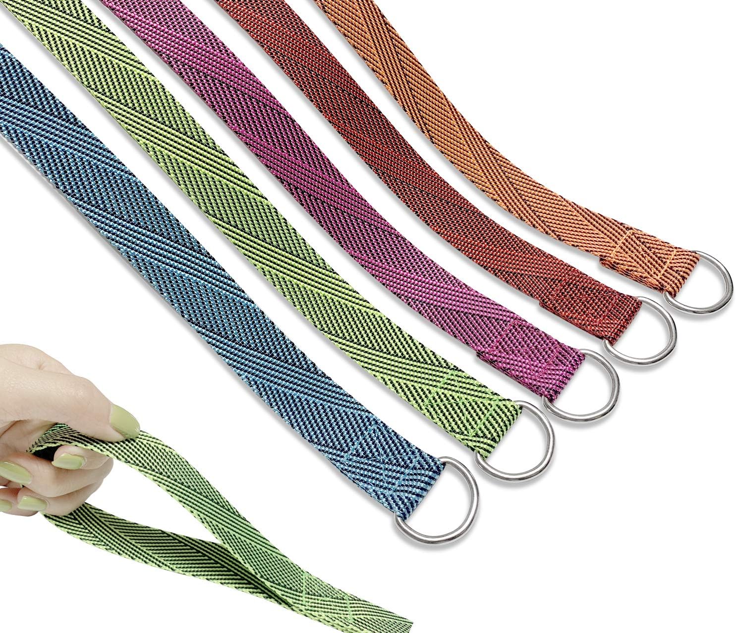 Dog Slip Lead - 5 FT Animal Control Kennel Leads with O Ring, 5 Colors Strong Pulling Durable Leashes for Pet Dogs…