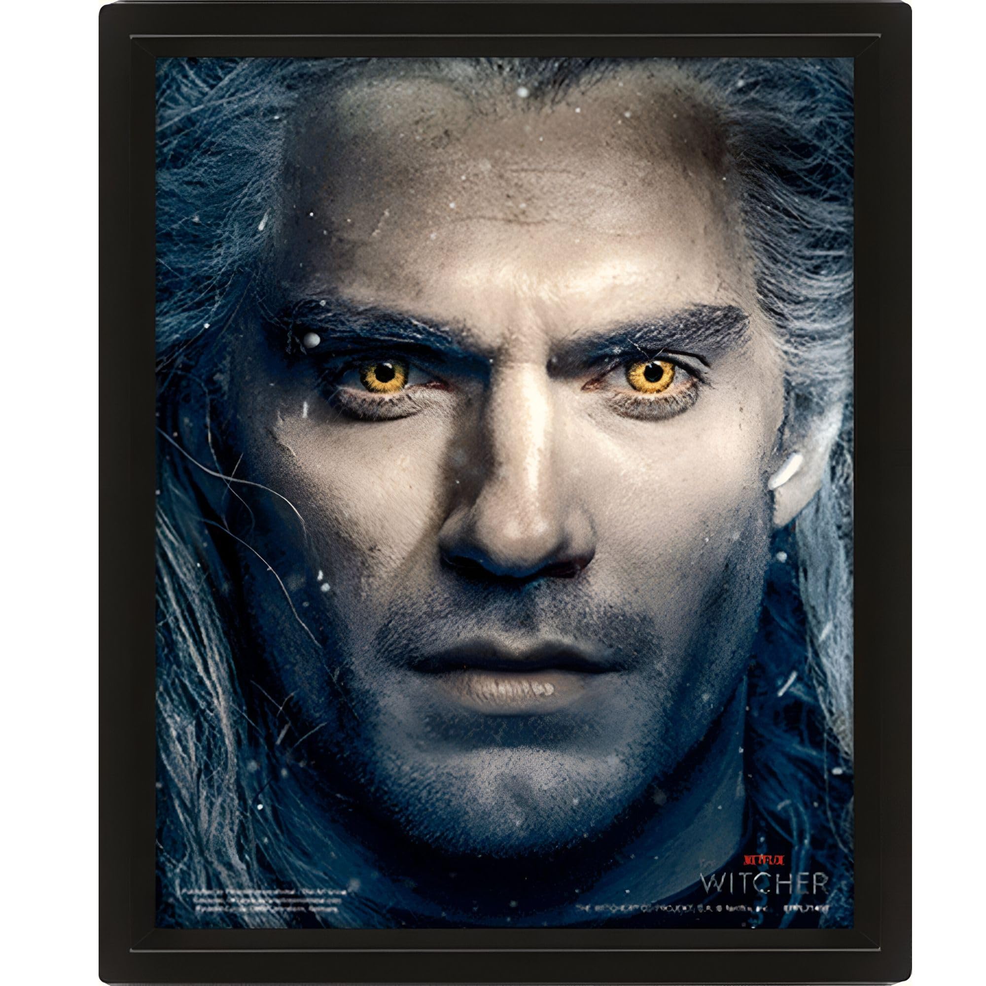 Witcher The 3D Lenticular Poster (Intertwined Design) 25cm x 20cm x 1.3cm in Box Frame - Official Merchandise