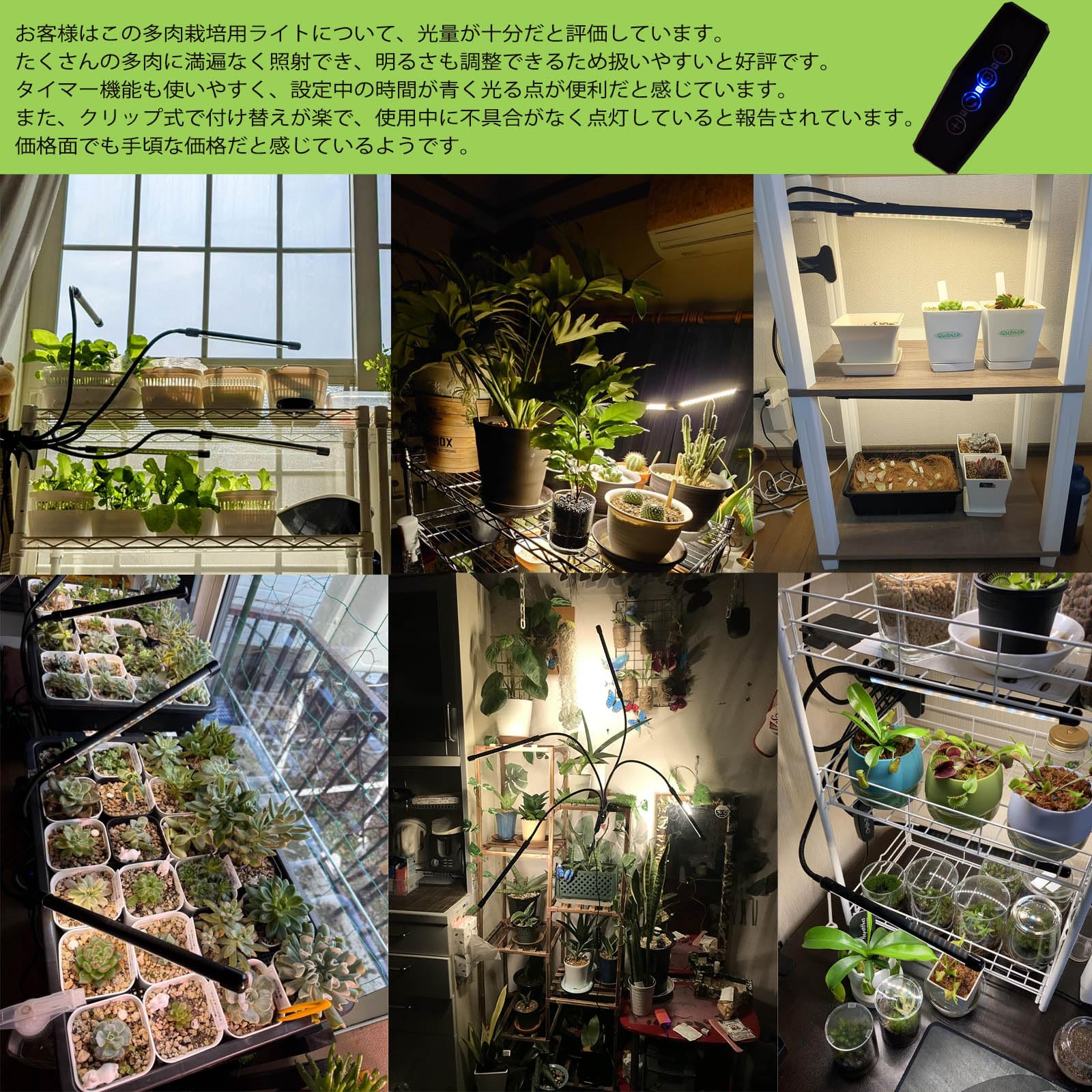 Amazon.co.jp: Ashigodou 植物育成ライト，昼光色 13W 80LED 3H/6H/12H