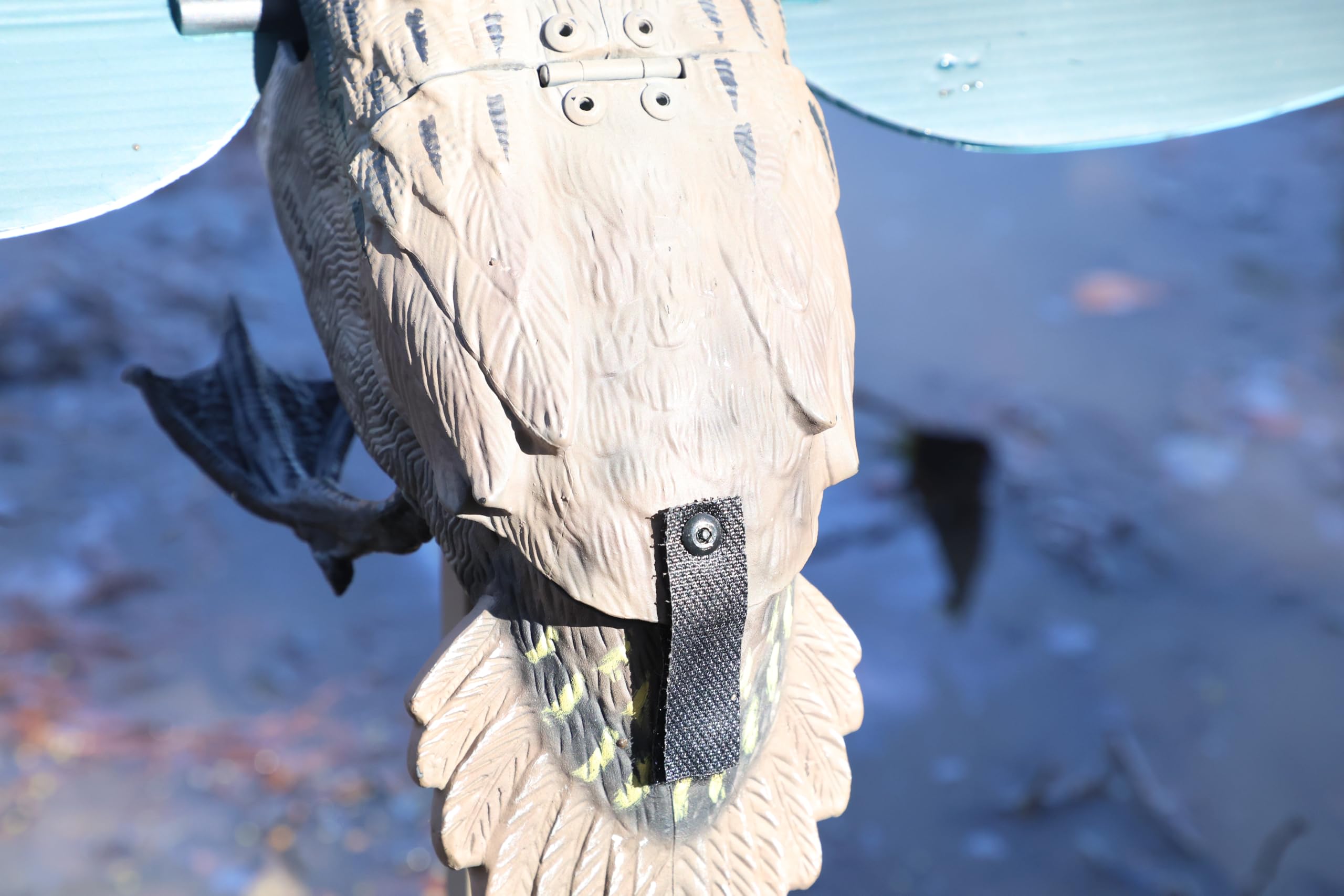 MOJO Outdoors Green Wing - Spinning Wing Duck Lockvogel mit superschnellen magnetischen Flügeln / Realistische Wasservögelbewegung / High-Detail-Design / 3-teilige Metallstützstange