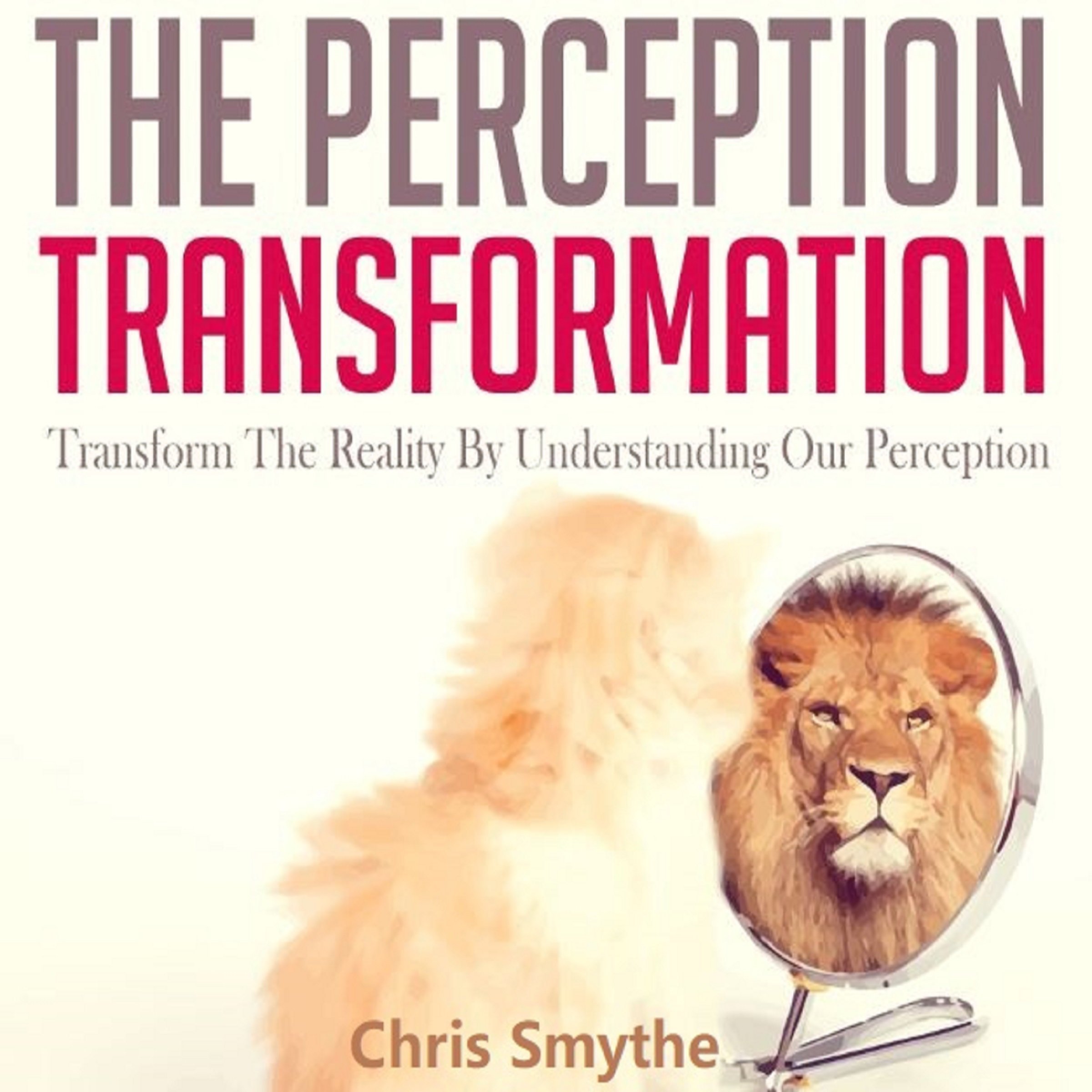 The Perception Transformation