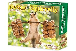 Willow Creek Press: Gettin' Squirrelly Daily Box/Desk Calendar 2024