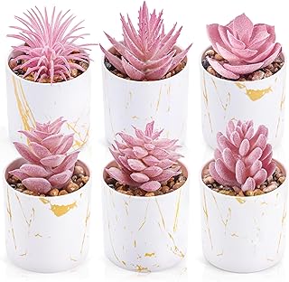 Sponsored You’re seeing this ad based on the product’s relevance to your search query.Learn more about this advertisement Der Rose 6 Packs Artificial Succulents for Office Desk Accessories for Bathroom Home Room Aesthetic Decoration