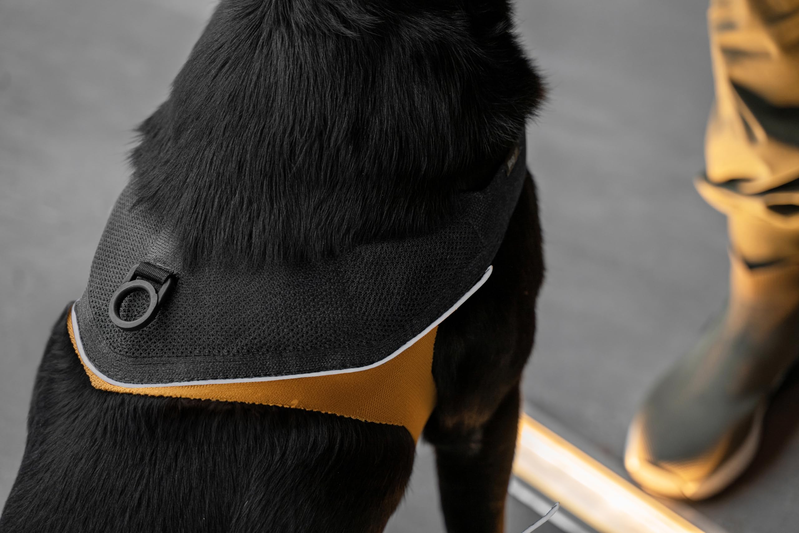 JK9 KnitFit arnés para Perro, Talla: XL Amarillo-Negro