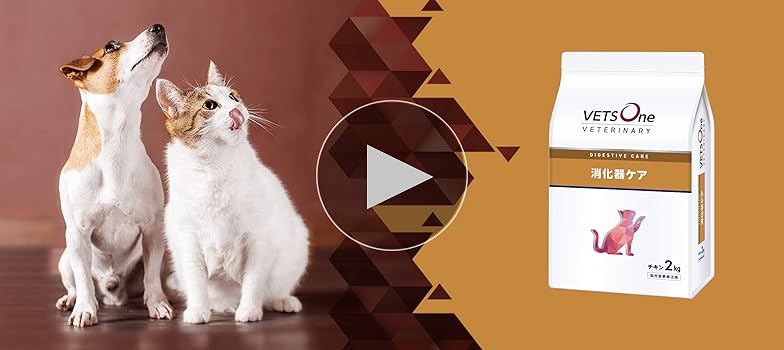 VETSOne ベッツワン　猫　消化器ケア 2kg×2 Amazon | ベッツワンベテリナリー 猫用 消化器ケア 可溶性繊維