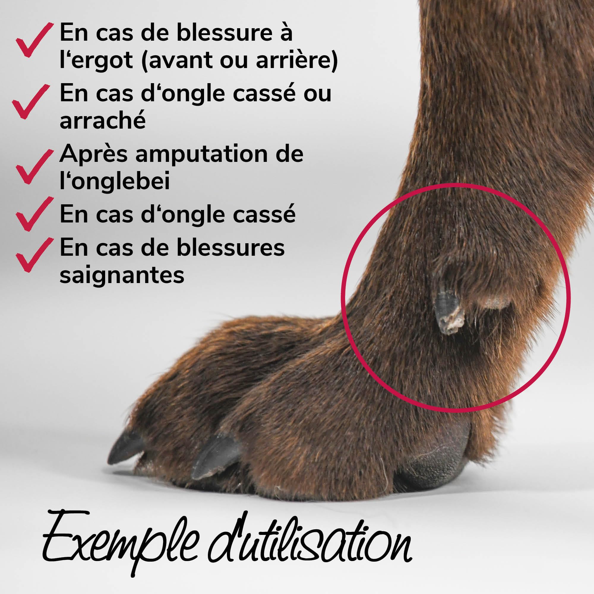 Bandage de Protection pour Ergots Taille L50 pour Chiens – Protection de l'Ergot Postérieur & de la Griffe du Pouce, Polaire Double Face, pour Sport Canin, Chasse & Agility