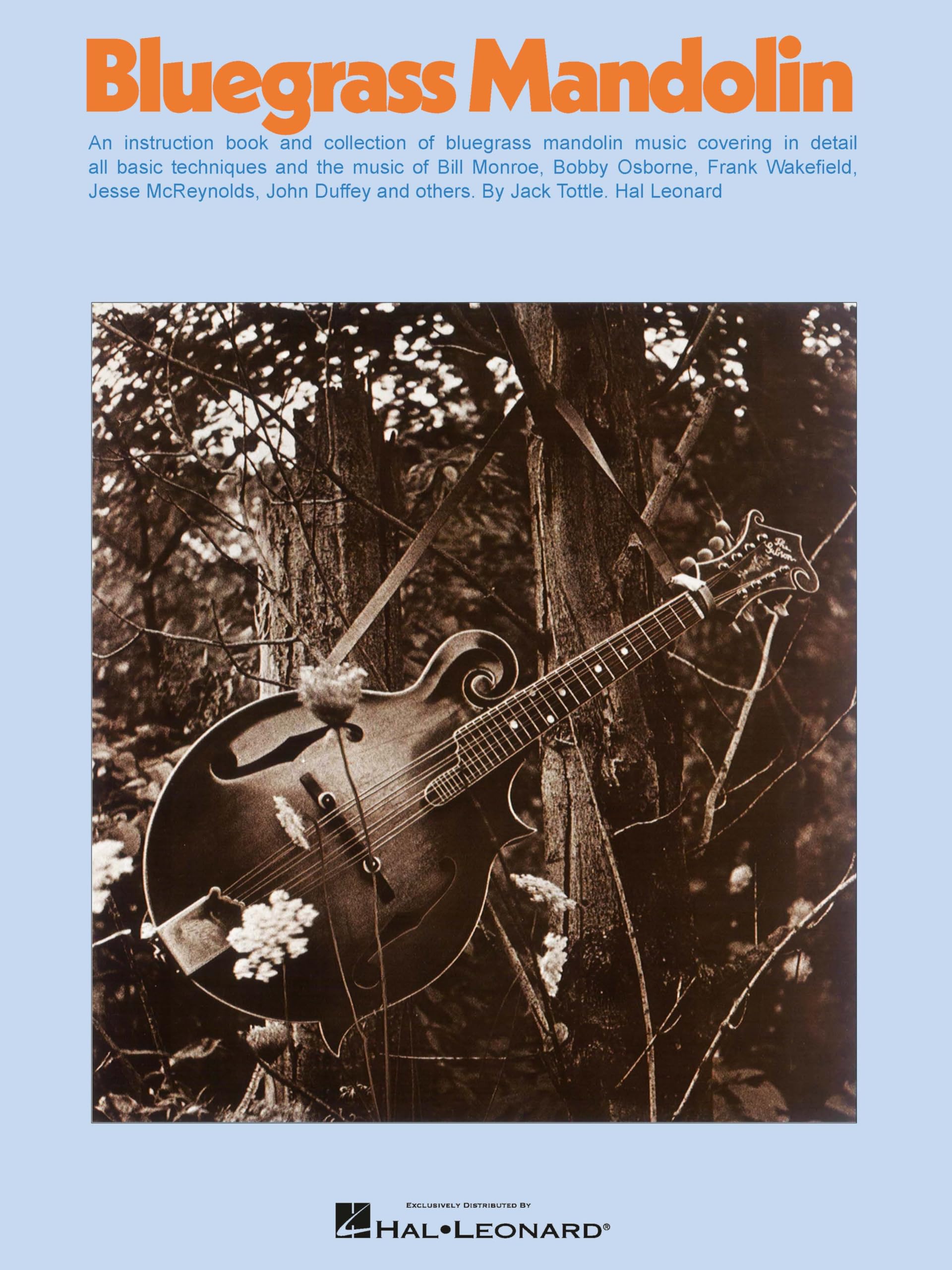 Bluegrass Mandolin