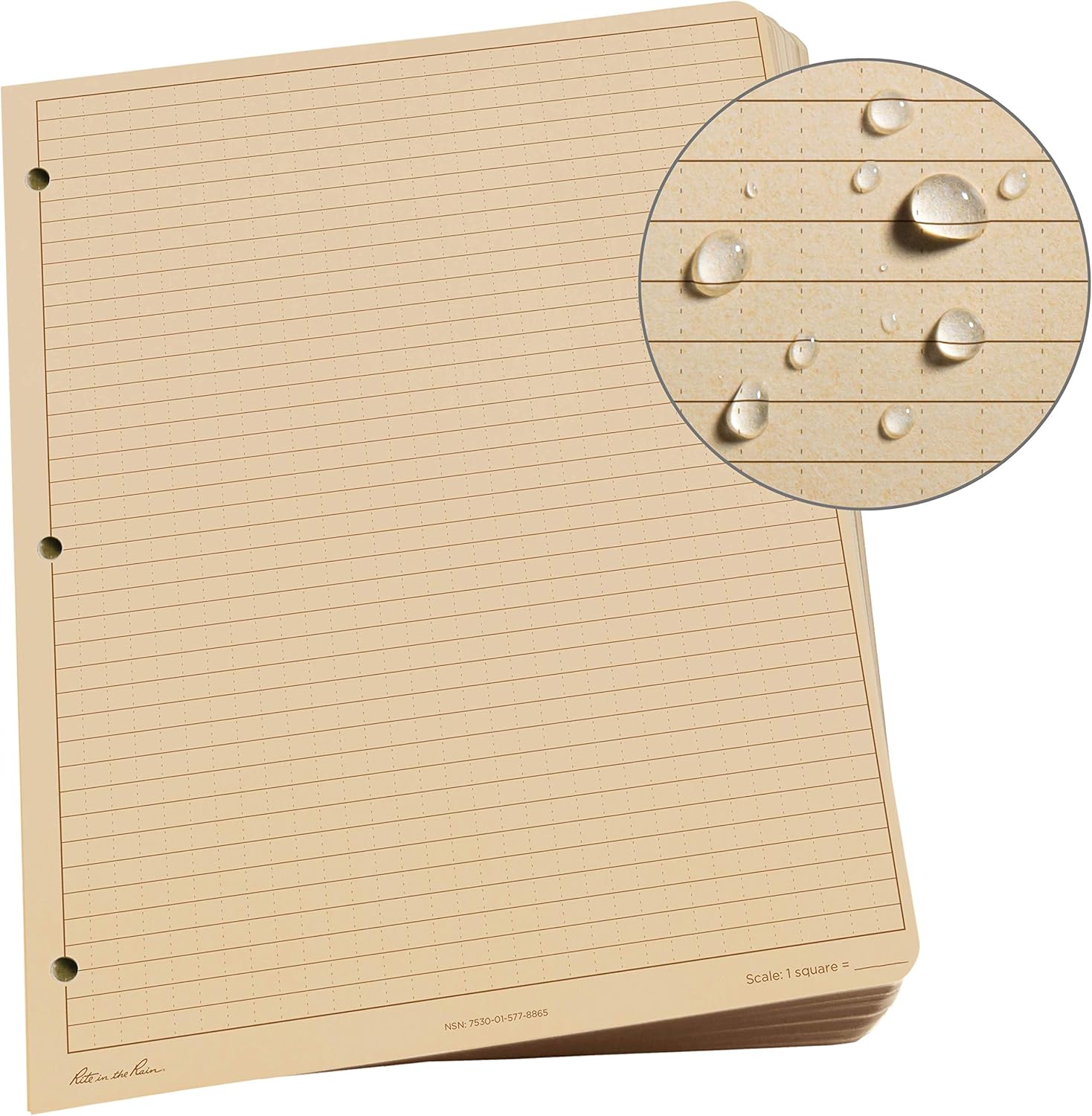 Looseleaf Paper,Universal, PK100 : Office Products