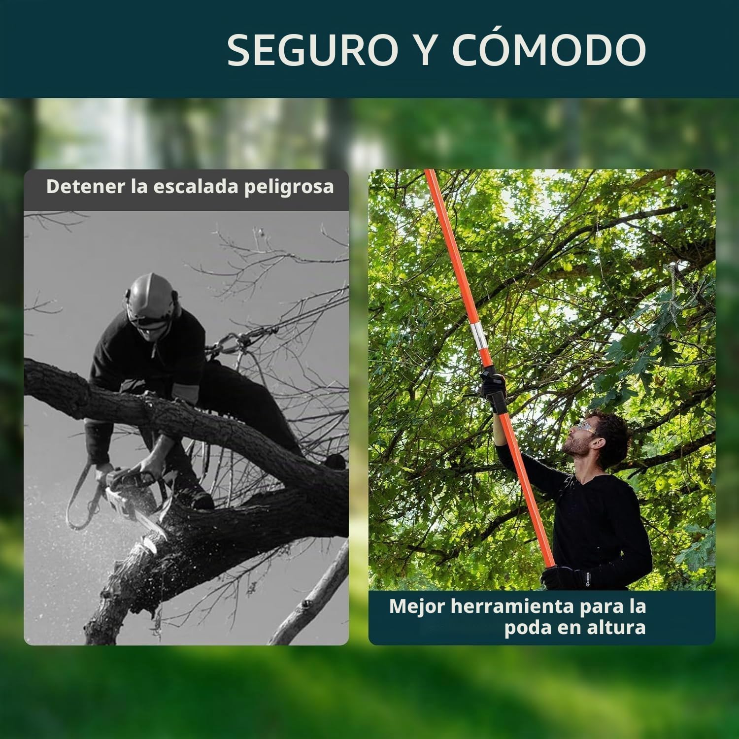 Podadora Telescópica de Altura Profesional, Pertiga Telescópica Ajustable 2.24-8.24m, Cortasetos Telescópico con Hoja de Aleación de Acero Inoxidable, Podadora de Altura para Jardinería, Poda de Árbol