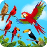 Swifte games