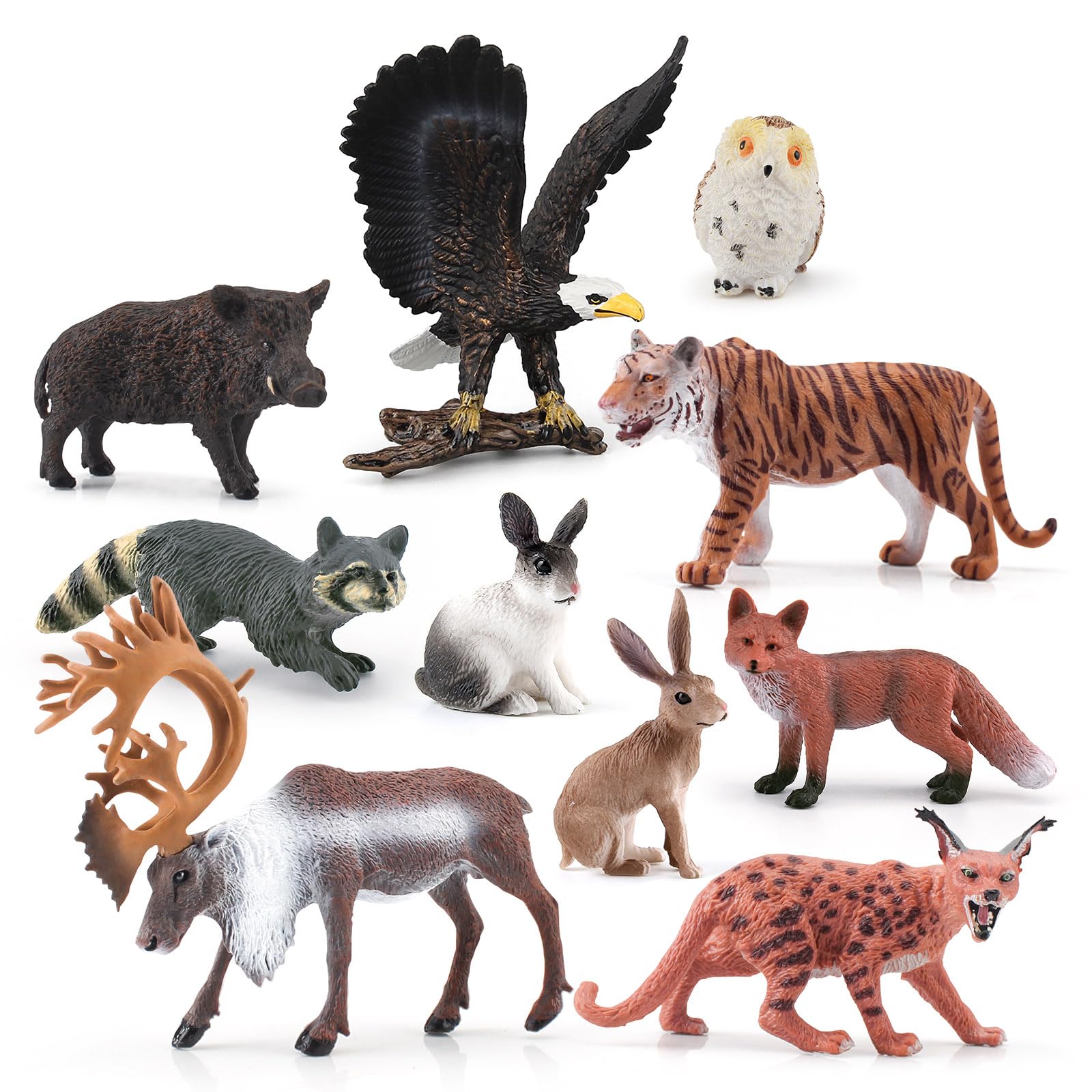 concombre 動物フィギュア 10体セット Amazon.co.jp: 森の動物フィギュア プレイセット 10ピース 森の動物