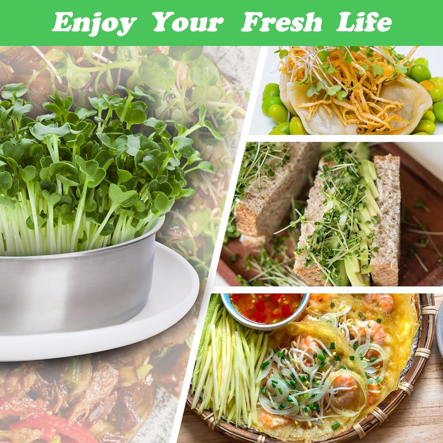 EBaokuup 5-Tier Stainless Steel Seed Sprouting Tray Kit-8.6" x 8.3" Stackable Mesh Seed Sprouting with Base & Lid-Seed Sprouting Germination Tray for Bean Sprouts Growing