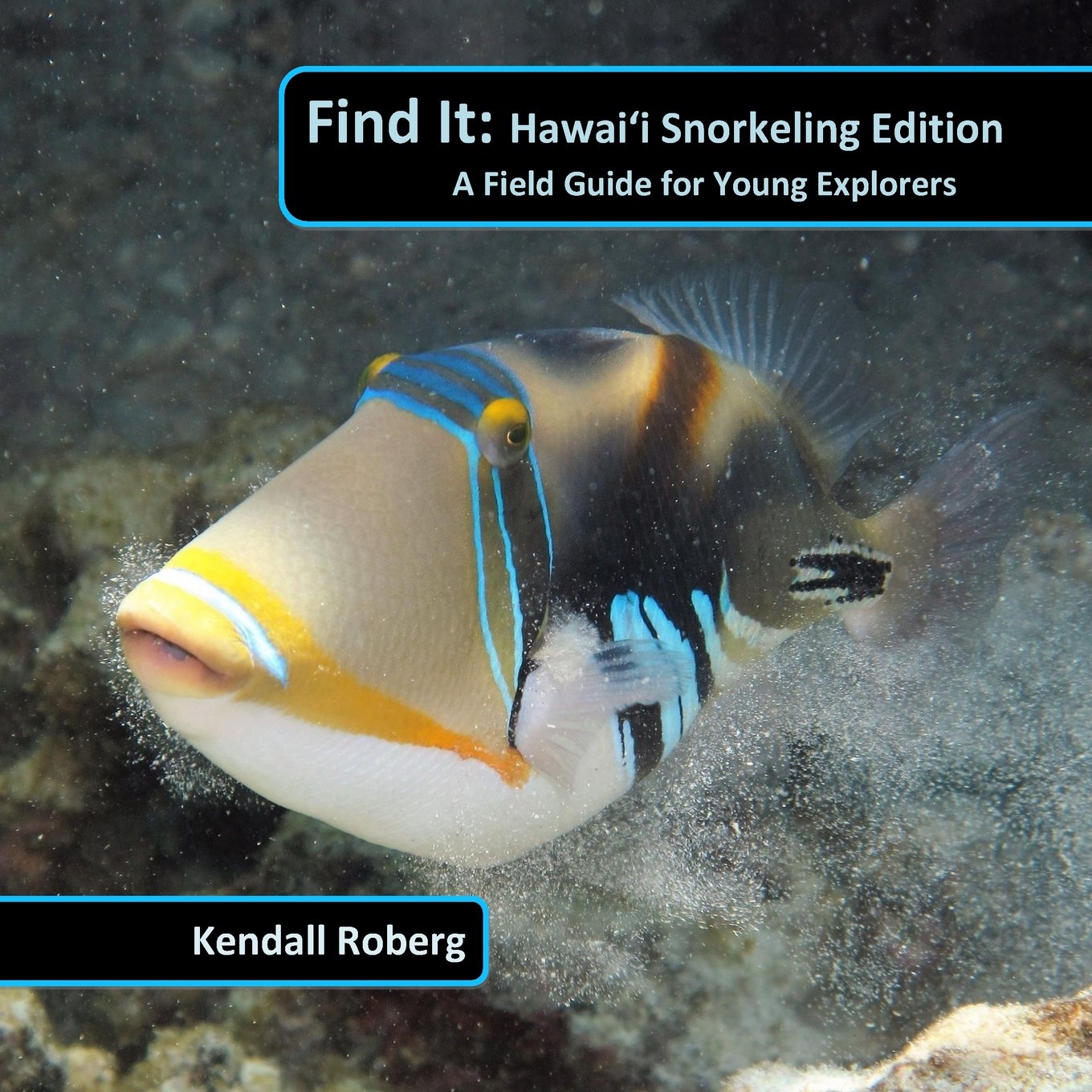 Find It: Hawaii Snorkeling Edition: A Field Notebook for the Young Explorer