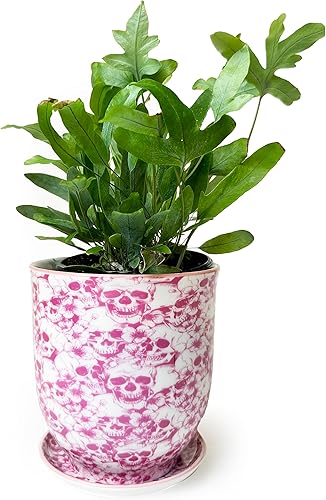 Miniatura 11 de CHIVE 'Liberte' - Macetas de cerámica para suculentas, 4.25 pulgadas, bonitas macetas de estilo rústico vintage para plantas de interior, hermosa