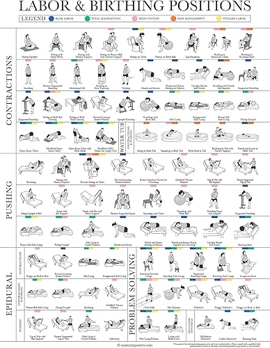 Miniatura 4 de Paquete de 2 pósteres de posición de parto y parto + tabla de anatomía del embarazo, educación del parto para doula, partera o trabajadora de parto,